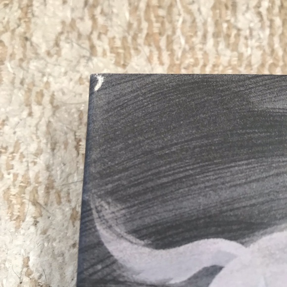 Elatsoe by Darcie Little Badger Hardcover YA Fantasy/Mystery Good Used Condition - Picture 6 of 10